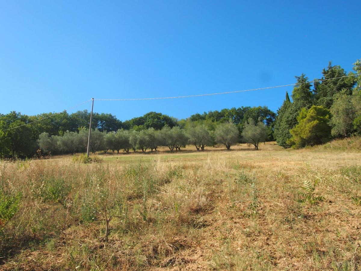 Agriturismo Ardizio 43 Pesaro Luaran gambar
