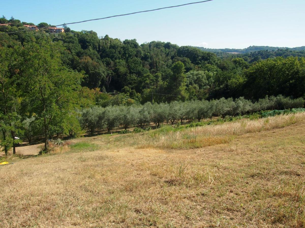 Agriturismo Ardizio 43 Pesaro Luaran gambar